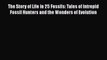 Read Full The Story of Life in 25 Fossils: Tales of Intrepid Fossil Hunters and the Wonders