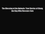 PDF The Blessing of the Animals: True Stories of Ginny the Dog Who Rescues Cats  Read Online