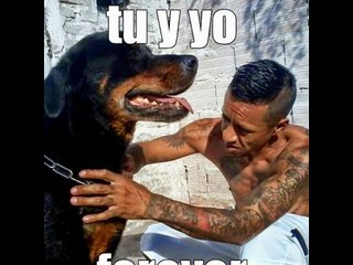 Mi video editado
