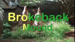 Brokeback Mound Redux