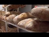 Tg Antenna Sud - Anche a Bari il pane 