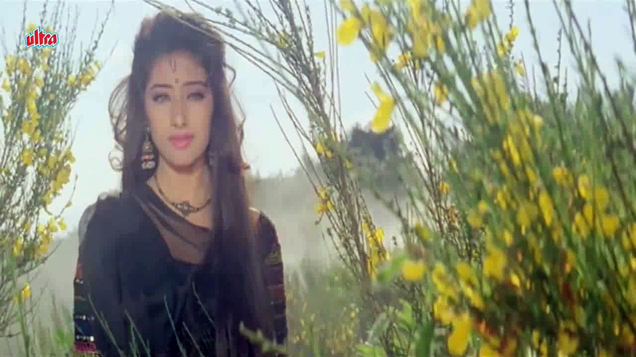 Diwani Diwani