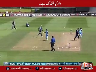 Amazing fielding of wicketkeeper and doing runout:
