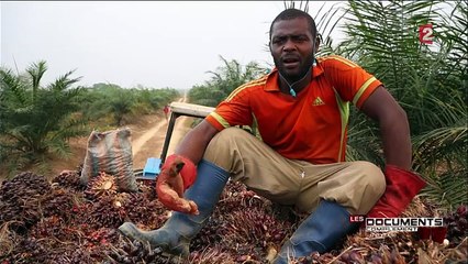 Complément d'Enquête répond à Vincent Bolloré