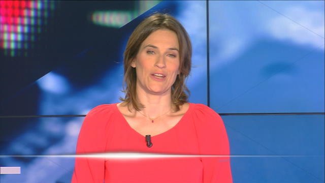 Sponsoring, produits dérivés... Le business juteux de l'Euro 2016 - Le 10/06/2016 à 12h00