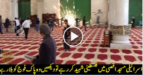 Palestine calls for support from Pakistan Army