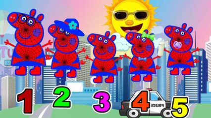 #Peppa Pig #Finger Family Collection #Peppa Pig #Nursery Rhymes Lyrics and more