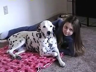 Cet homme photographie sa fille et son dalmatien, ce que le chien fait est trop cool !