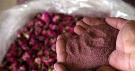 Isparta Gülünün Tozu Bile Para Ediyor