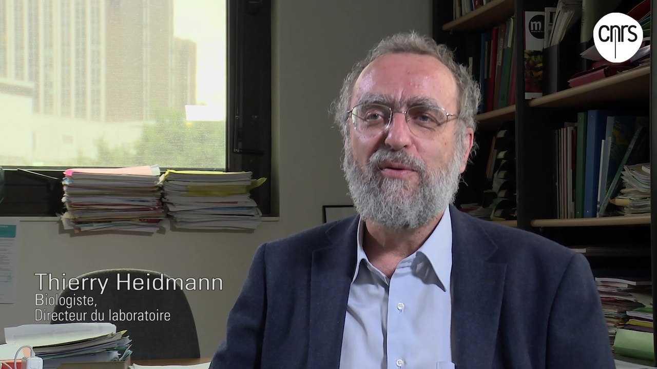 Thierry Heidmann, biologiste
