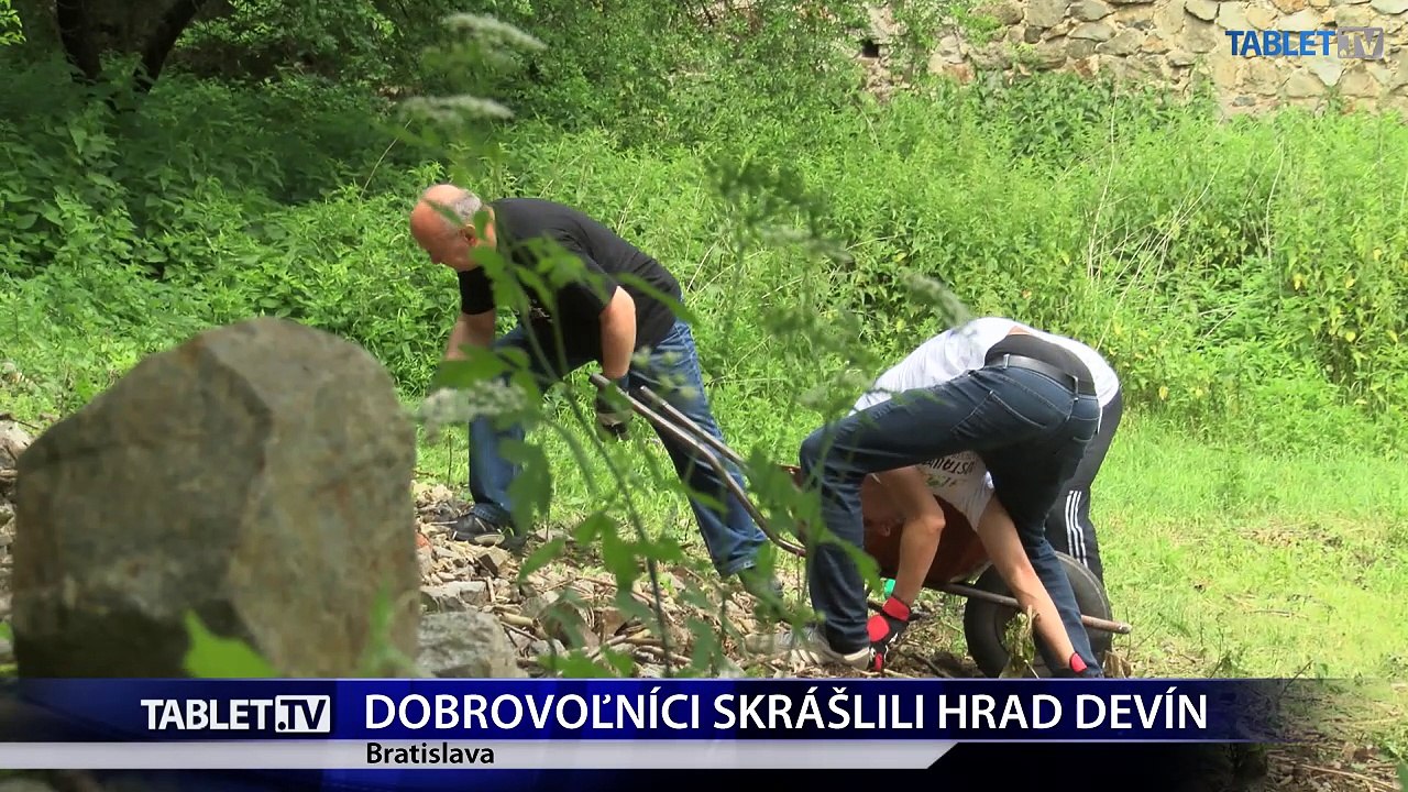DOBROVOĽNÍCI SKRÁŠLILI HRAD DEVÍN