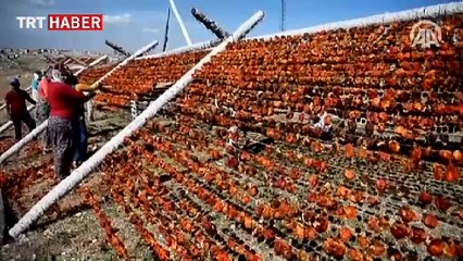 'Yaz yağmuru' onlar için kabus