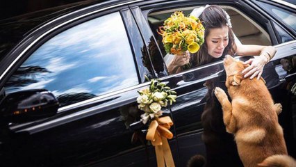 Les 26 plus belles photos de mariage primées en 2014