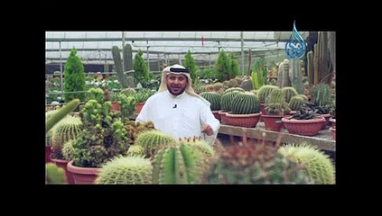 AL NADA فواصل قرانيه -قناة الندي