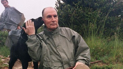 Présentation Le Chien perdu de François Mitterrand