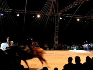 Carroussel prouvy 035