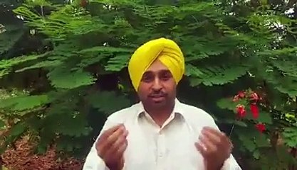 Bhagwant Mann's Perspective on the Film 'Udta Punjab'