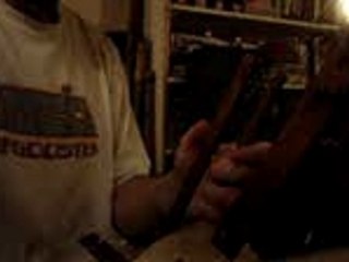 Berçeuse le lion  (essai)