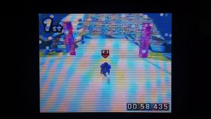 Mario & Sonic at the Olympic Winter Games DS