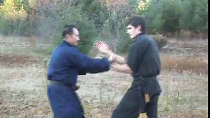 Wing Chun Chi Sao