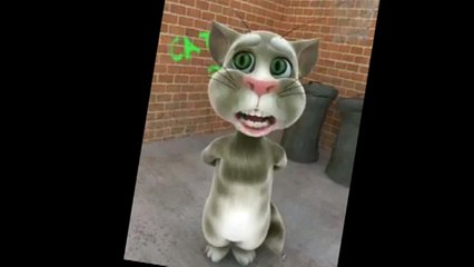 Talking Tom 2016 new panjabi Fun Masti must watch