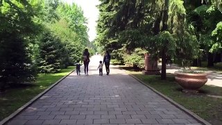 Видео из моего инстаграма/Алматы парк 28 панфиловцев