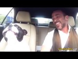 Müzik Kulağı Olan Köpek
