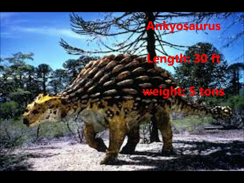Who Would Win A Fight-Part.14-Ankylosaurus vs T-Rex