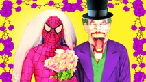Rose Spidergirl vs Joker mariage ?! w / Spiderman, Frozen Elsa, Catwoman, Superman Venom & Doctor :)