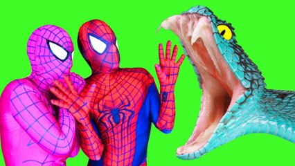 Spiderman, Frozen Elsa & Pink Spidergirl vs diable, Blanche-Neige | SNAKE MAGIQUE #toysuperheroes Prank