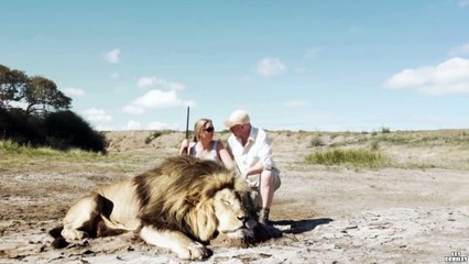 Un couple de chasseur se font attaquer par un lion