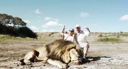 Un couple de chasseurs prend la pause devant un lion mort