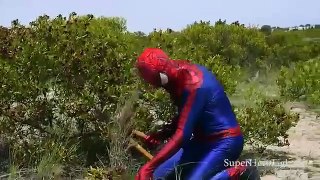 Superhero in Real Life   Spiderman Vs Venom He Takes Flowers To The Grave In Real Life Irl Super Her