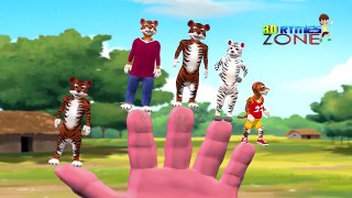 Tiger Finger Family Song 3D Rhymes zone Children songs and Kids Songs