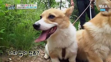 개밥 주는 남자.E26.160610.HD-1