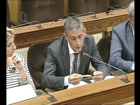 Roma - Audizione Dallatana, direttrice Raidue (08.06.16)