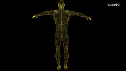 Japan's First "Naked Restaurant" Bans Fat Diners