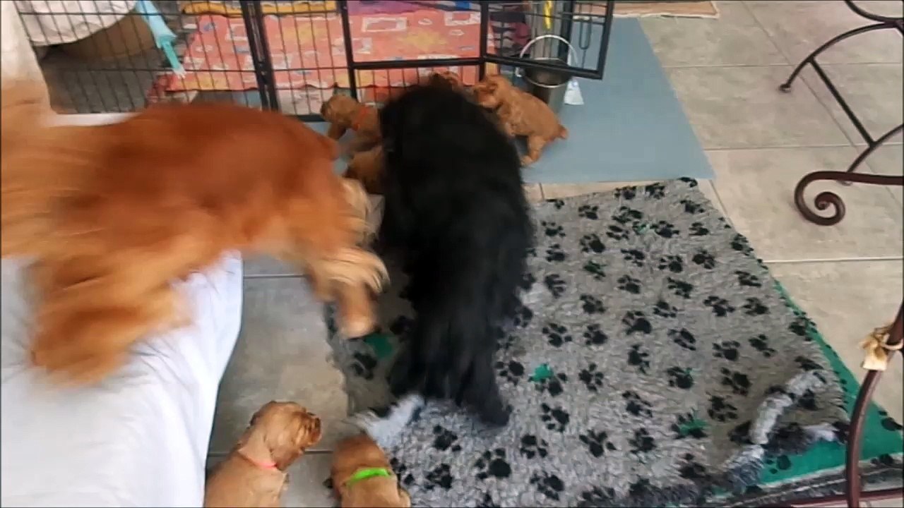 06.06.2016 Les  filles et les bébés1