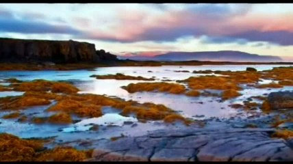 ما تيسر من سورة الأحزاب| الشيخ عبد العزيز الكرعاني -2016