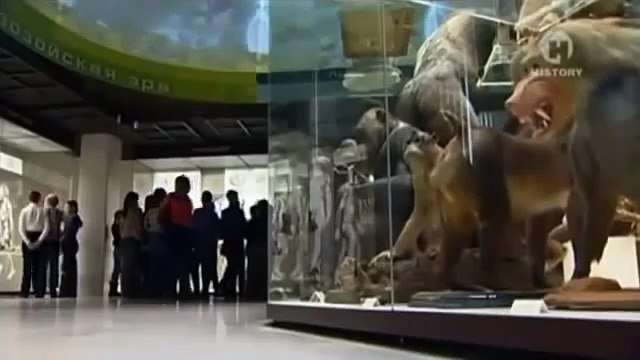 Секретные эксперименты в советских лабораториях.