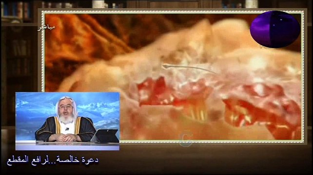 {وفي أنفسكم أفلا تبصرون} ~ تأملات في علم الأجنة ومراحل خلق الإنسان| الشيخ صالح المنجد.