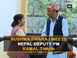 Sushma Swaraj meets Nepal Deputy PM Kamal Thapa
