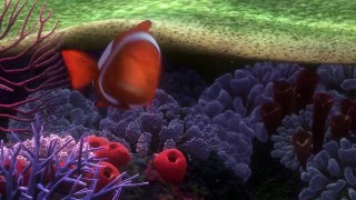 Finding Lunch (Finding Nemo Parody)