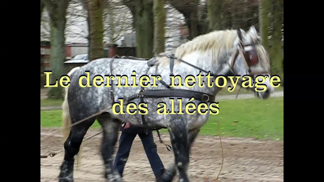 monsieur paul