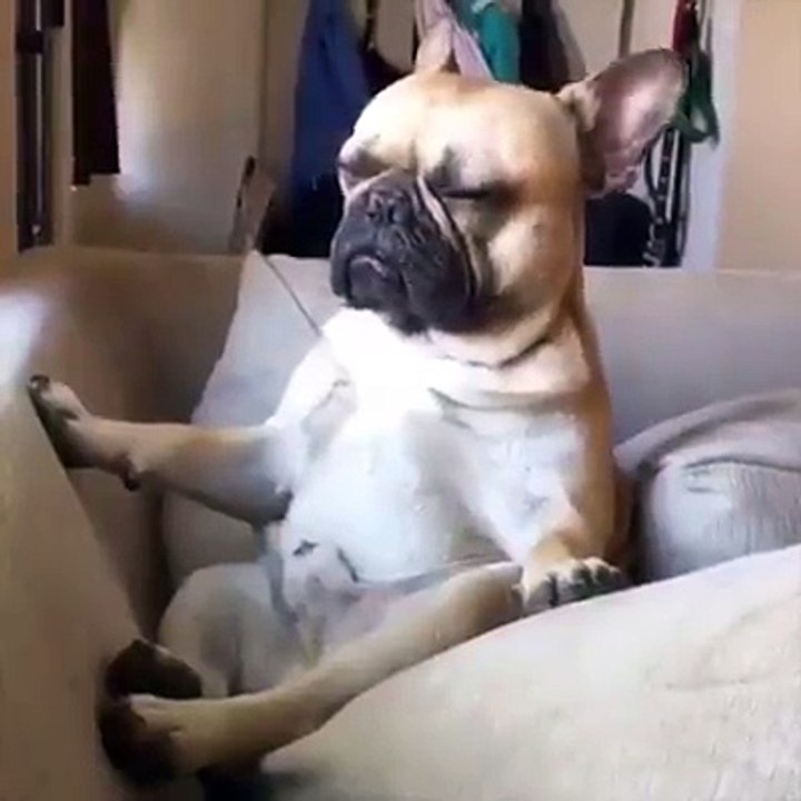 Quand tu es vraiment fatigué mais qu'il est encore midi !!!