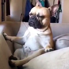 Quand tu es vraiment fatigué mais qu'il est encore midi !!!