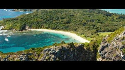 The Shallows Official 'The Beginning' Trailer (2016) - Blake Lively, Brett Cullen Movie HD