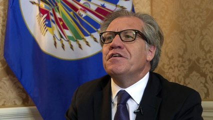 OEA: governo tem mais a ganhar com referendo na Venezuela