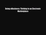 Read Doing eBusiness: Thriving in an Electronic Marketplace Ebook Free