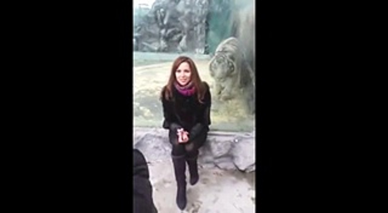 Cette femme échappe de justesse à l'attaque du tigre